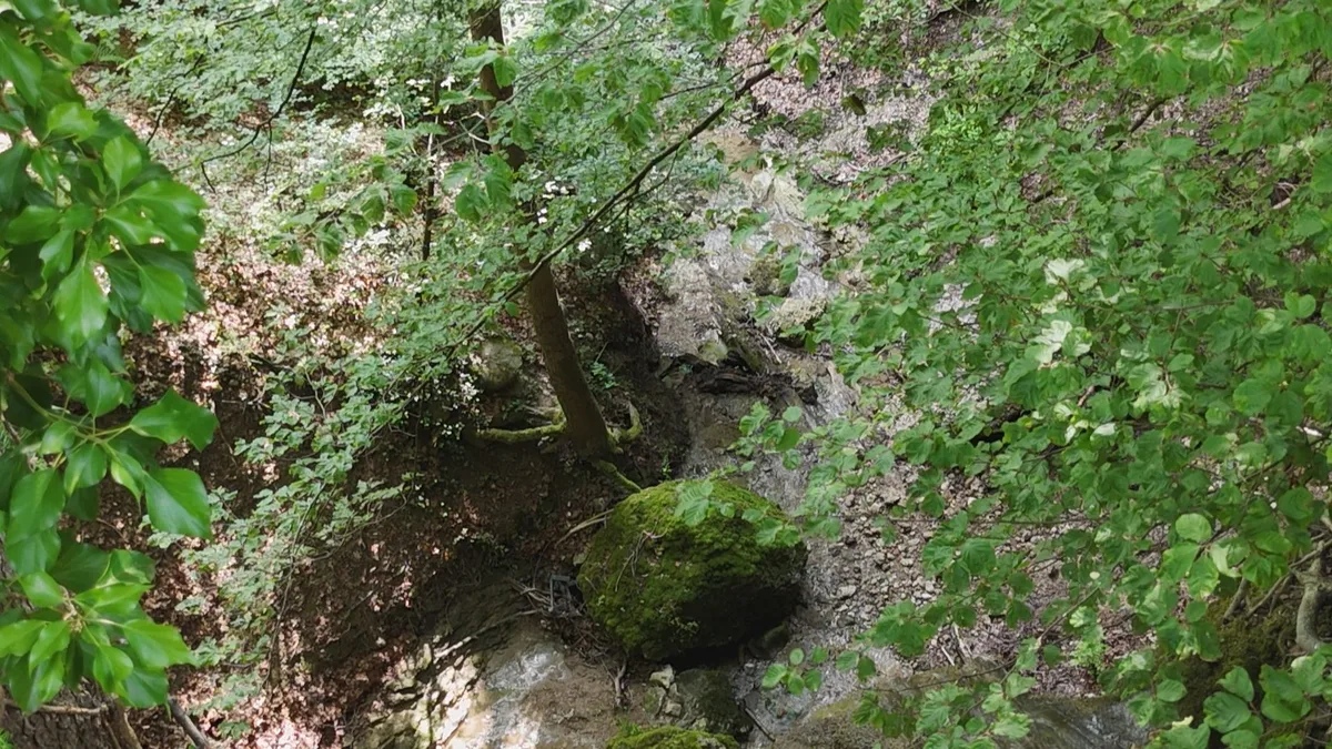 Ein Motorradfahrer stürzte rund 15 Meter in die Tiefe.